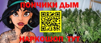 индика Ливны